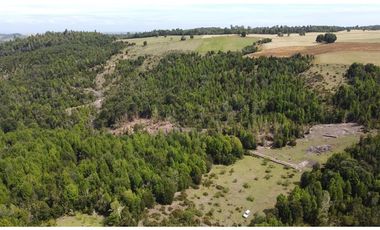 Venta de hermosas parcelas en los Muermos