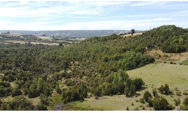 Venta de hermosas parcelas en los Muermos
