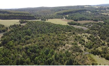 Venta de hermosas parcelas en los Muermos