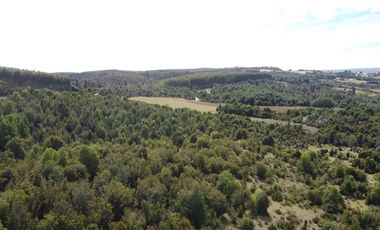 Venta de hermosas parcelas en los Muermos