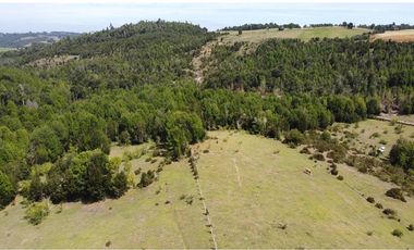Venta de hermosas parcelas en los Muermos