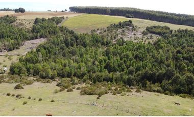 Venta de hermosas parcelas en los Muermos