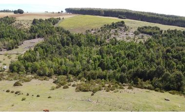 Venta de hermosas parcelas en los Muermos