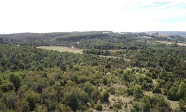 Venta de hermosas parcelas en los Muermos