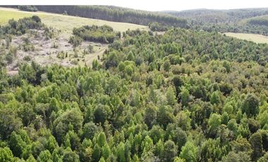 Venta de hermosas parcelas en los Muermos