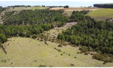 Venta de hermosas parcelas en los Muermos