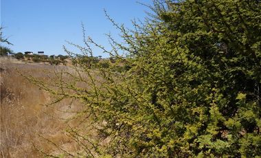 BAJAMOS EL PRECIO PARCELA SECTOR EMBALSE MALLERMO