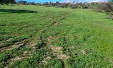 BAJAMOS EL PRECIO PARCELA SECTOR EMBALSE MALLERMO