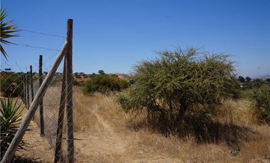 BAJAMOS EL PRECIO PARCELA SECTOR EMBALSE MALLERMO