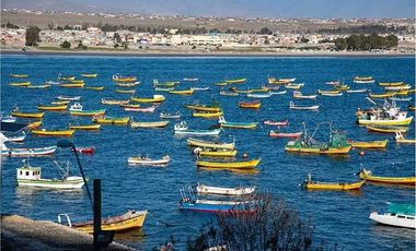 Terrenos urbanizados Mar Grande Tongoy