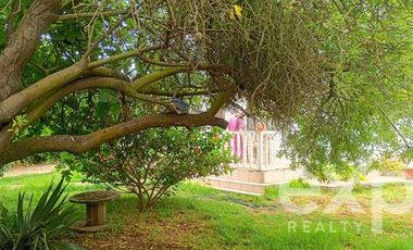 Casa en Venta en Hermanos Carrera 346 Quintero