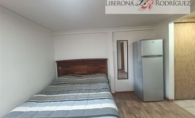 Casa en Arriendo en Loft en Cerro Bellavista