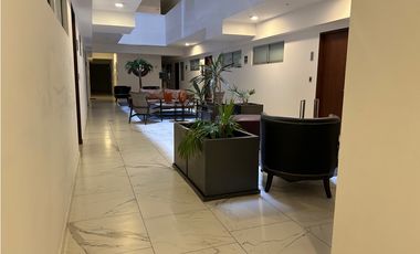 LOCAL COMERCIAL PARK PEDREGAL