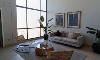 ARRIENDO DEPARTAMENTO AMOBLADO 1DORMITORIO-VIÑA DEL MAR