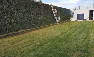 Se vende oficina con bodega y terraza en Tesitan Zapopan
