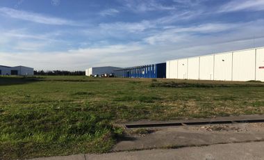 GALPON EN ALQUILER A ESTRENAR 2320 M2 - POLO MADERERO HUDSON