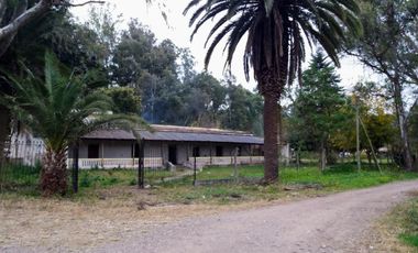 Finca en  Los Alisos