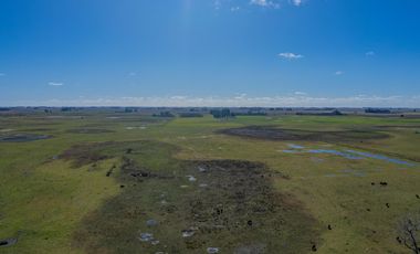Estancia del año 1830 refaccionada con 42 hectáreas a 50km del mar