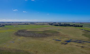Estancia del año 1830 refaccionada con 42 hectáreas a 50km del mar
