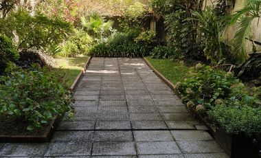 Semipiso de categoría.