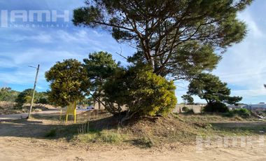 Terreno Industrial Comercial Ostende Pinamar
