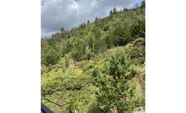 Vendo duplex en El Retiro, Oriente Antioqueño