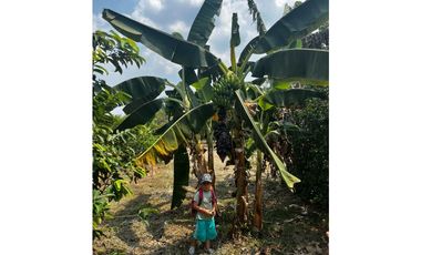 Vendo Finca Vereda los medios