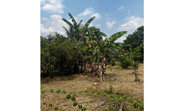 Vendo Finca Vereda los medios