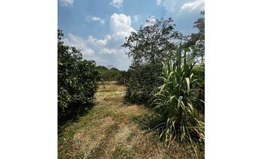 Vendo Finca Vereda los medios