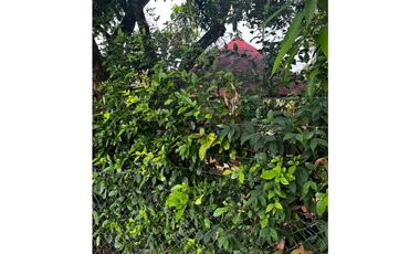 Vendo Finca Vereda los medios