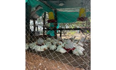 Vendo Finca Vereda los medios