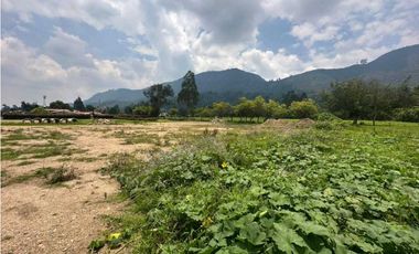ARRIENDO LOTE 2.500 MT2 VIA SIBERIA TENJO.