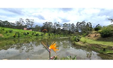 Lote en Venta, El tablazo Rionegro, Antioquia