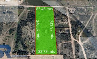 TERRENO EN RENTA O VENTA EN SALINAS VICTORIA