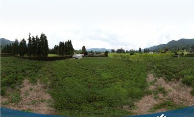 En Venta Hermosa Casa Campestre En Tenjo