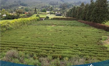 En Venta Hermosa Casa Campestre En Tenjo
