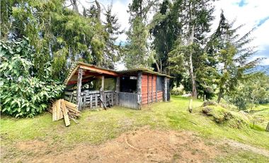 Finca para la venta en San Félix, vereda la china