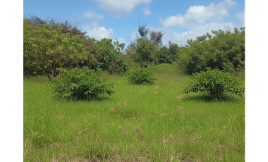 PENONOME A 10 MIN DE VIA PANAMERICANA / JC