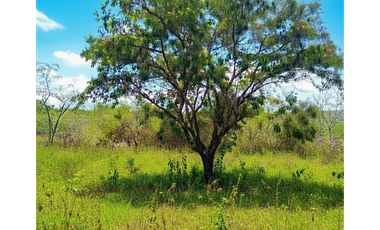 PENONOME A 10 MIN DE VIA PANAMERICANA / JC