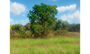 PENONOME A 10 MIN DE VIA PANAMERICANA / JC