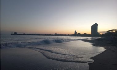 ALQUILER APARTAMENTO NUEVA GORGONA