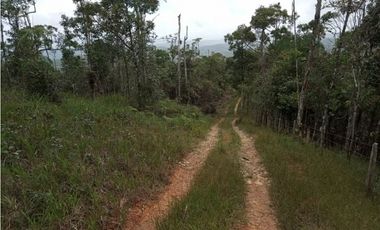 Finca en venta en Cerro Azul | 20.7 has para desarrollo o inversión