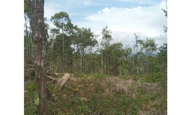 Finca en venta en Cerro Azul | 20.7 has para desarrollo o inversión