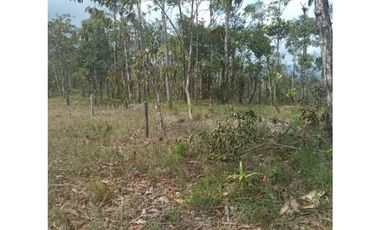 Finca en venta en Cerro Azul | 20.7 has para desarrollo o inversión