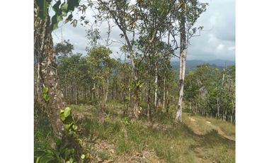 Finca en venta en Cerro Azul | 20.7 has para desarrollo o inversión