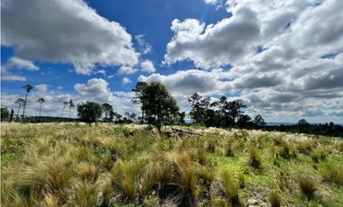 VENDO 40 HAS DE CAMPO EN YACANTO