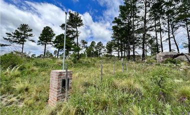 VENDO 40 HAS DE CAMPO EN YACANTO
