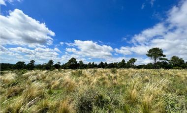 VENDO 40 HAS DE CAMPO EN YACANTO
