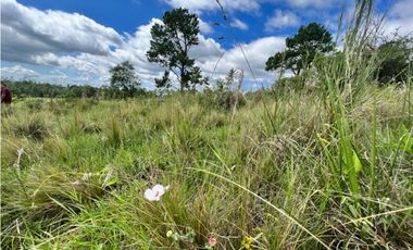 VENDO 40 HAS DE CAMPO EN YACANTO