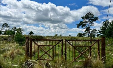 VENDO 40 HAS DE CAMPO EN YACANTO